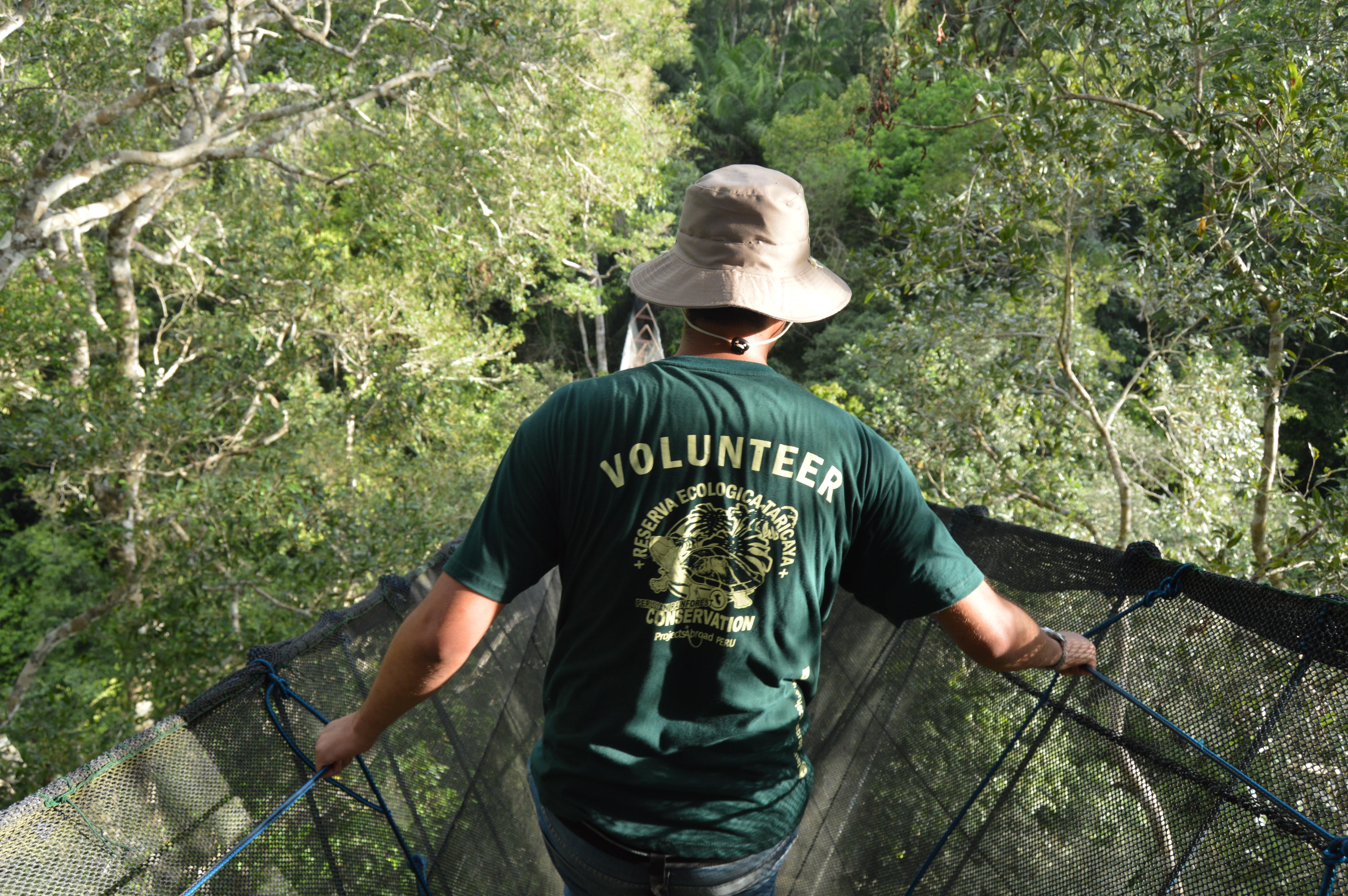 A Projects Abroad older volunteer participates in a wildlife survey in Peru from the tallest canopy walkway in South America. 