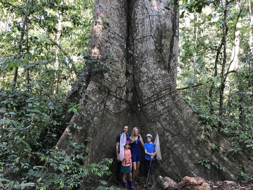 Conservation volunteers assist with butterfly research as a family in Peru