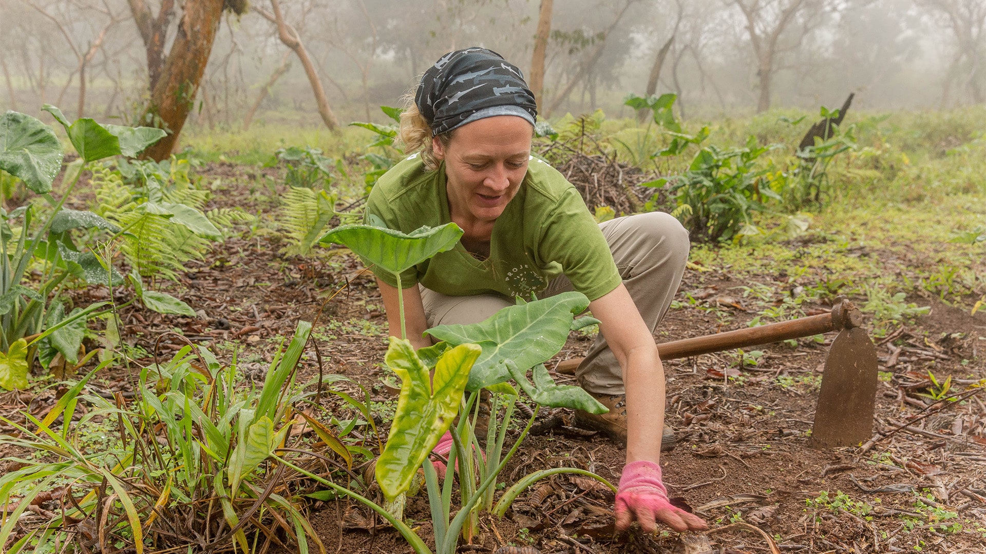 Conservation – Over 50 – Galapagos