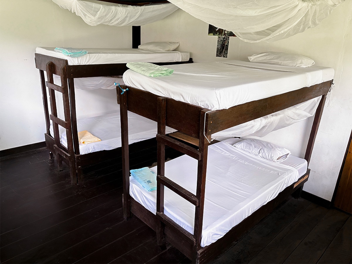 Interior of rainforest lodge accommodation