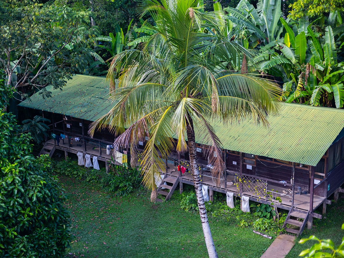 Shared lodge accommodation in the Amazon rainforest