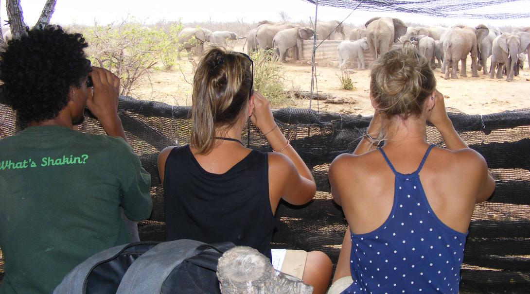 Teens conducting a wildlife survey in Botswana