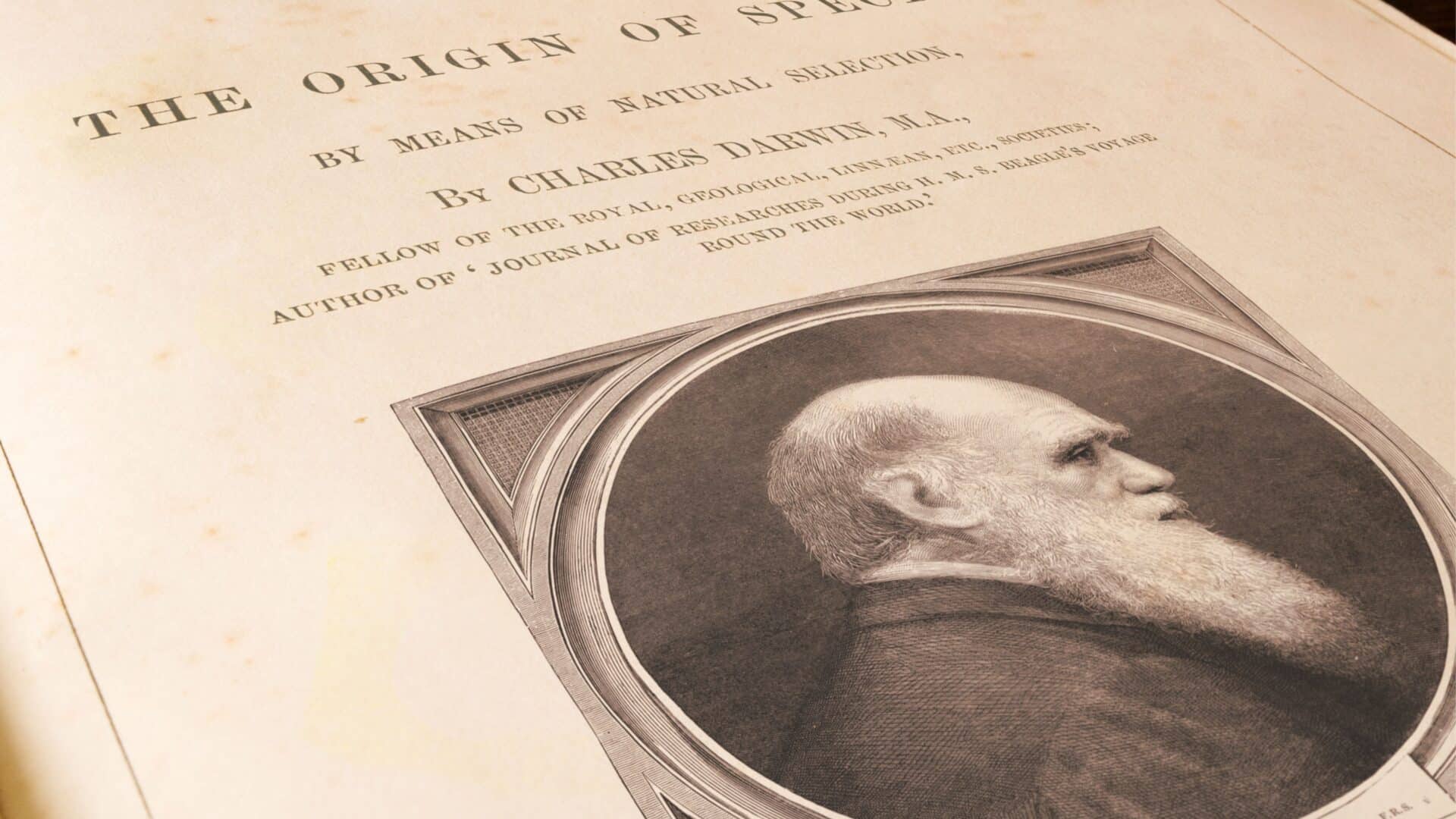 Darwin Research Book