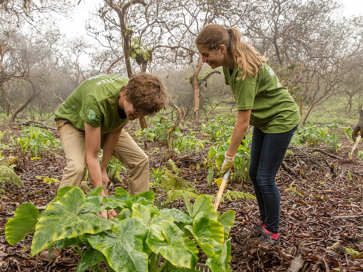 Galapagos Conservation