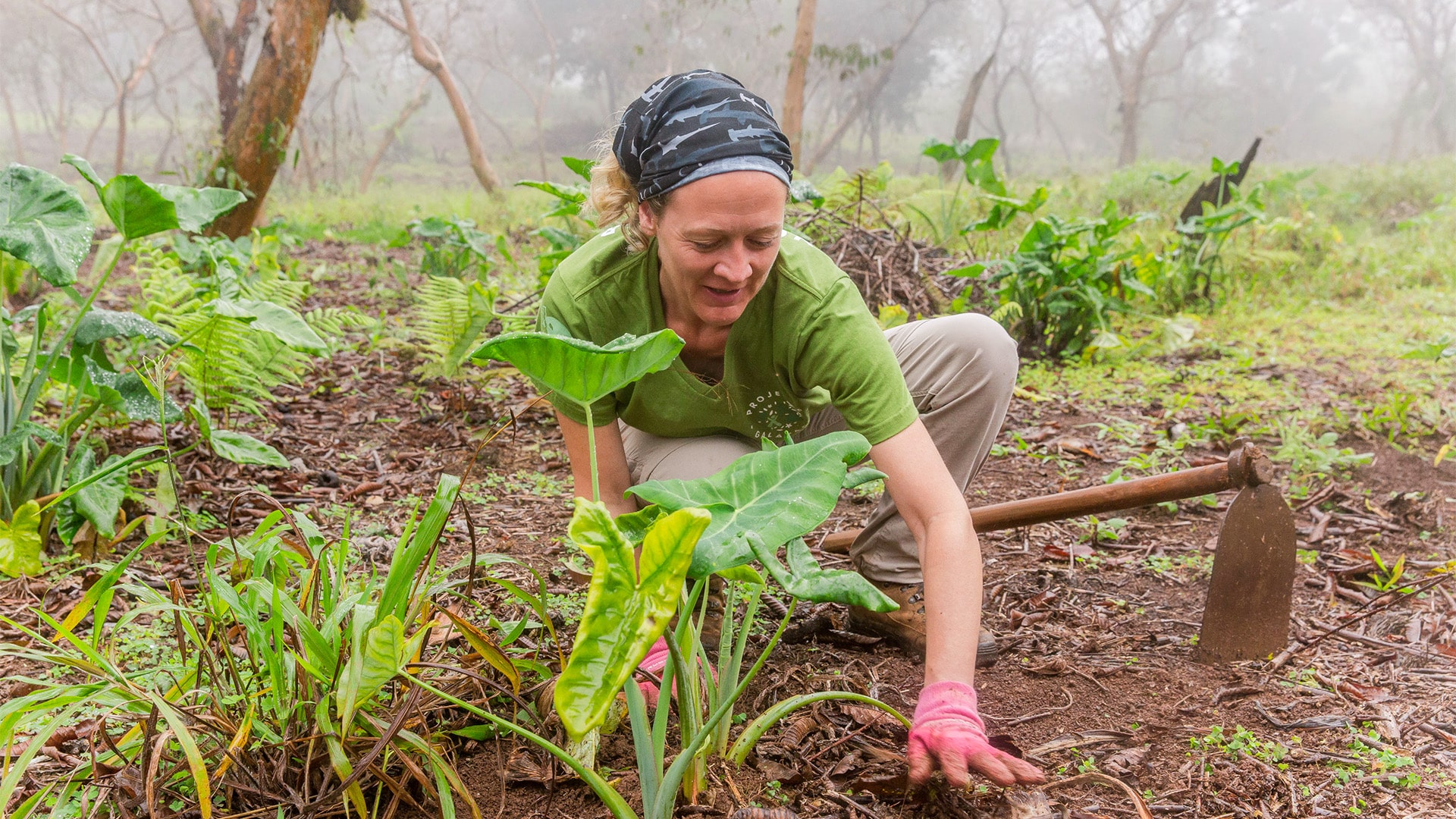 Conservation & Environment