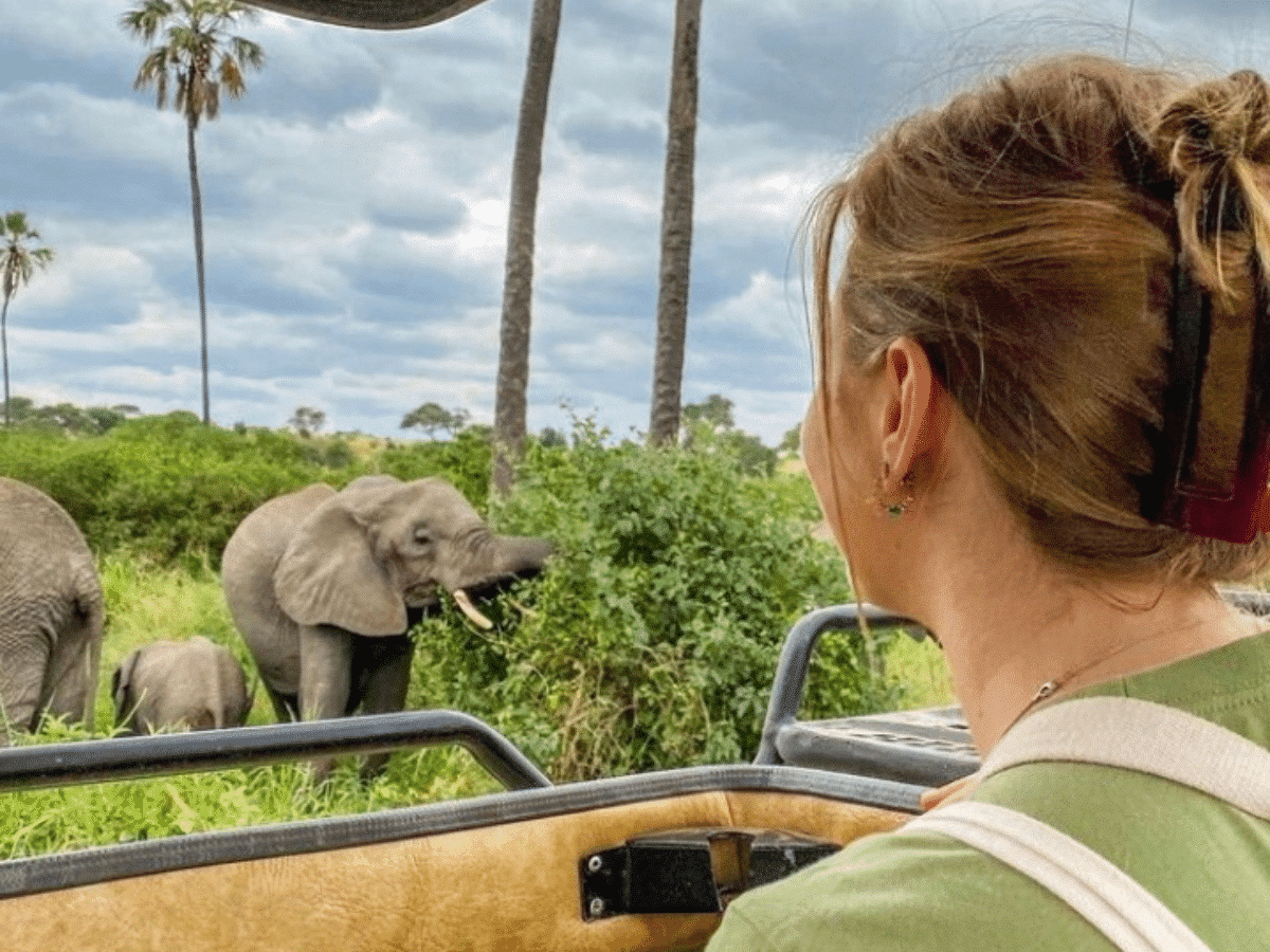 A volunteer sees an elephant in Tanzania on Safari