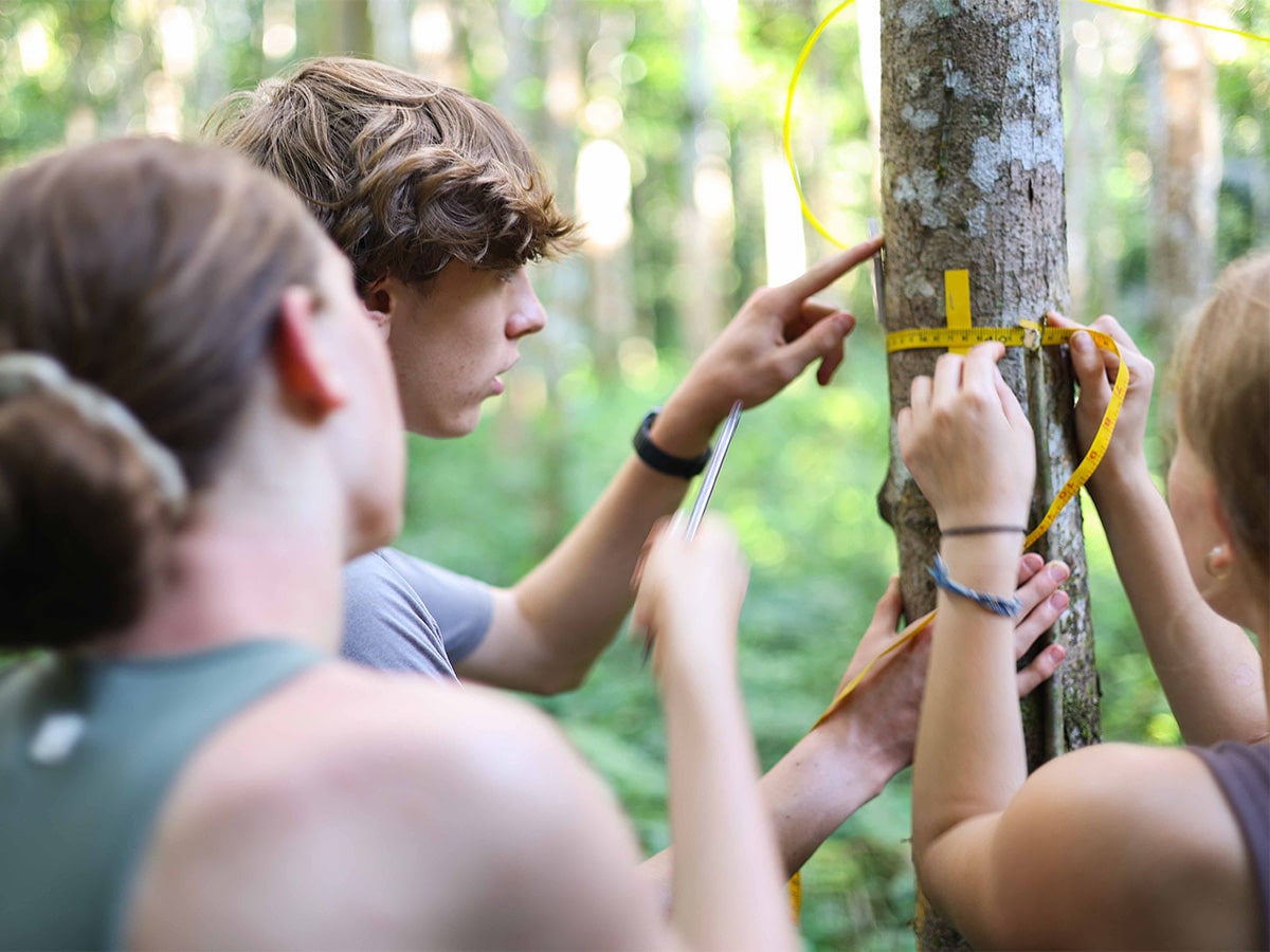 Volunteers measuring trees in Peru