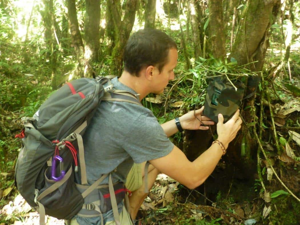 Wildlife Conservation volunteer places a camera trap