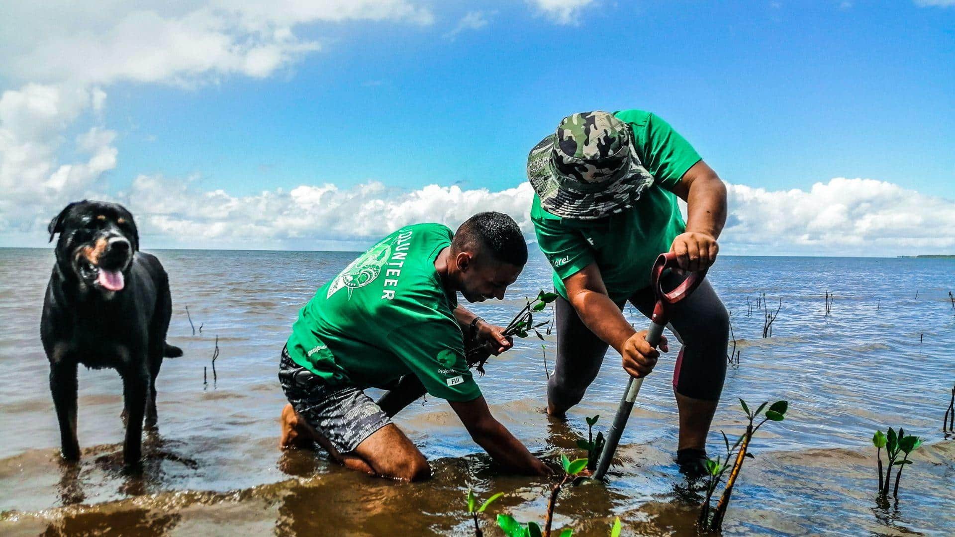 Everything you need to know: conservation volunteering abroad