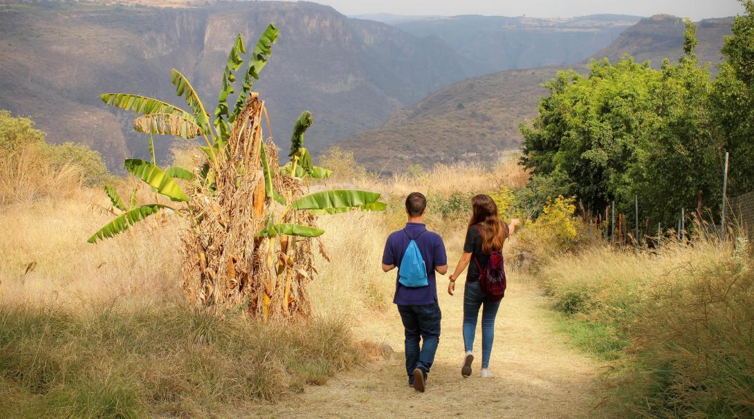 Go on interpretative nature walks