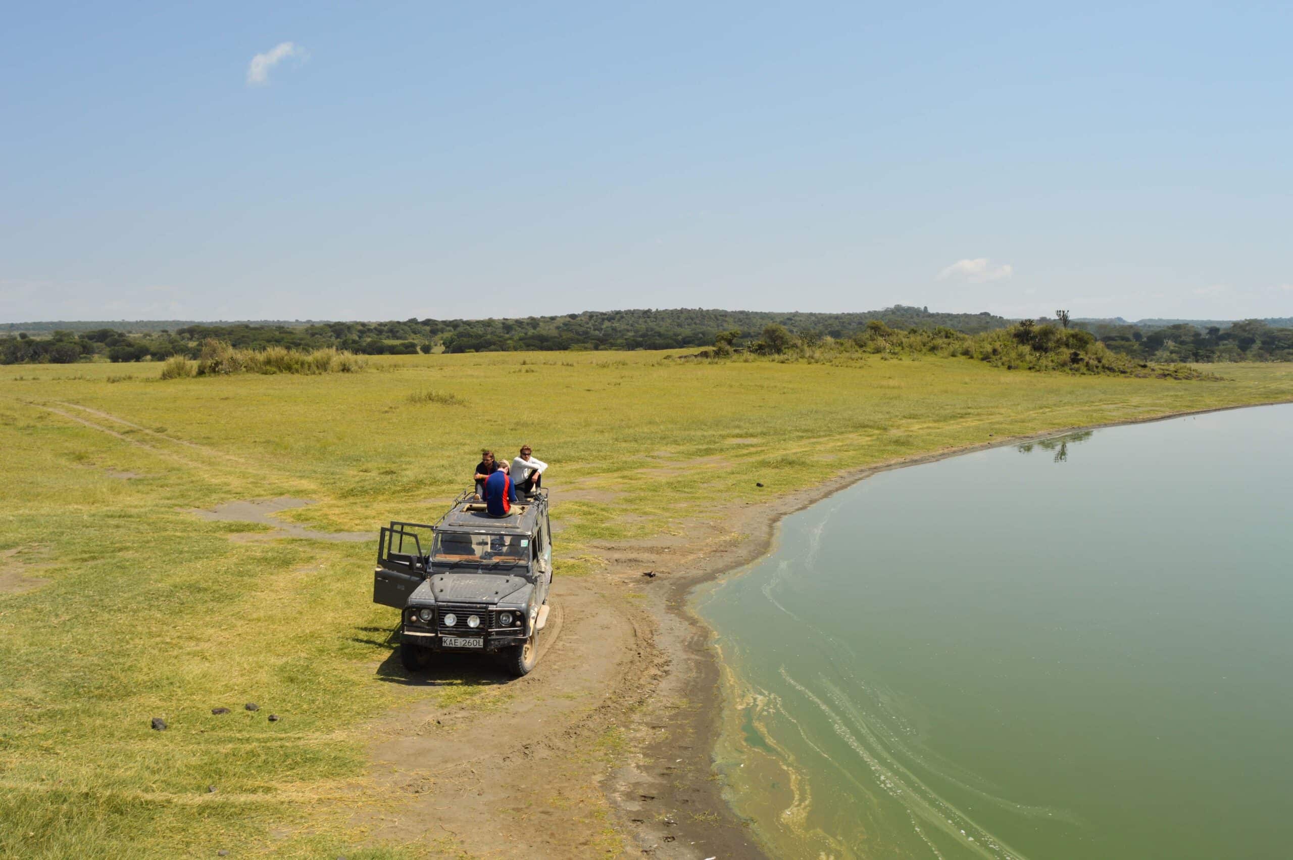 Summer volunteer opportunities for teens in August 2025