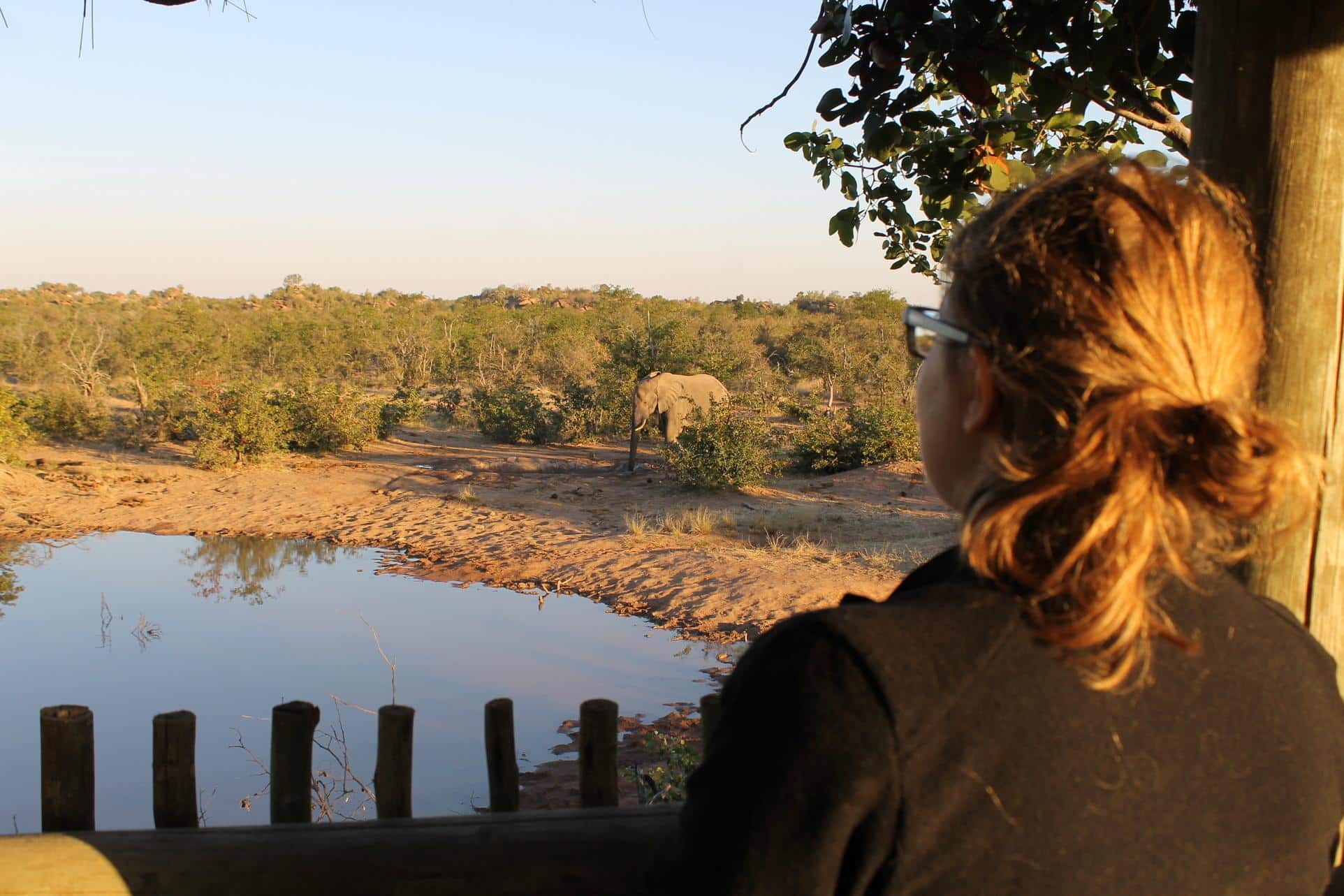 A Conservation volunteer in Botswana