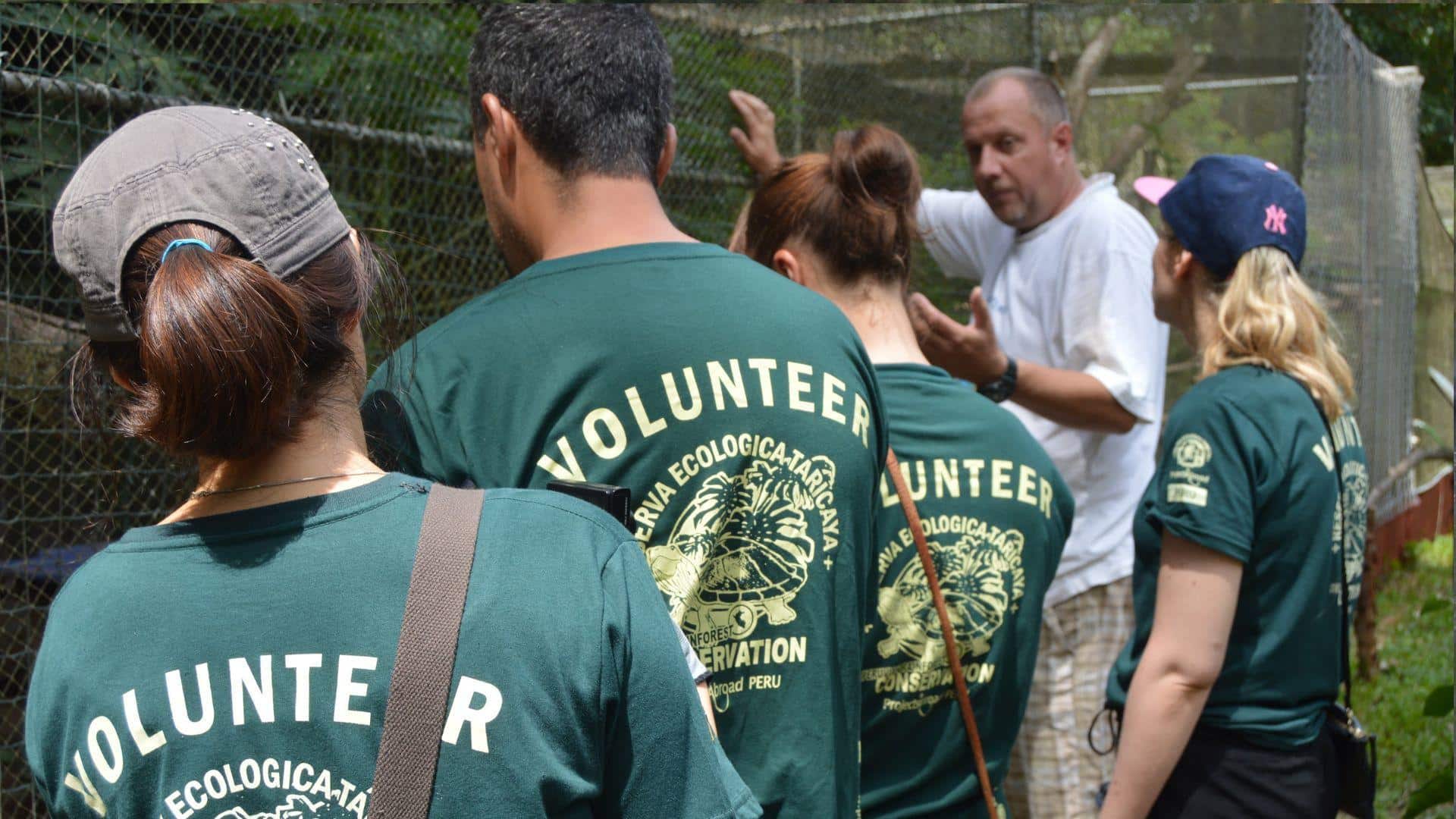 Four Projects Abroad volunteers stand by a conservation expert in Peru and learn about local species