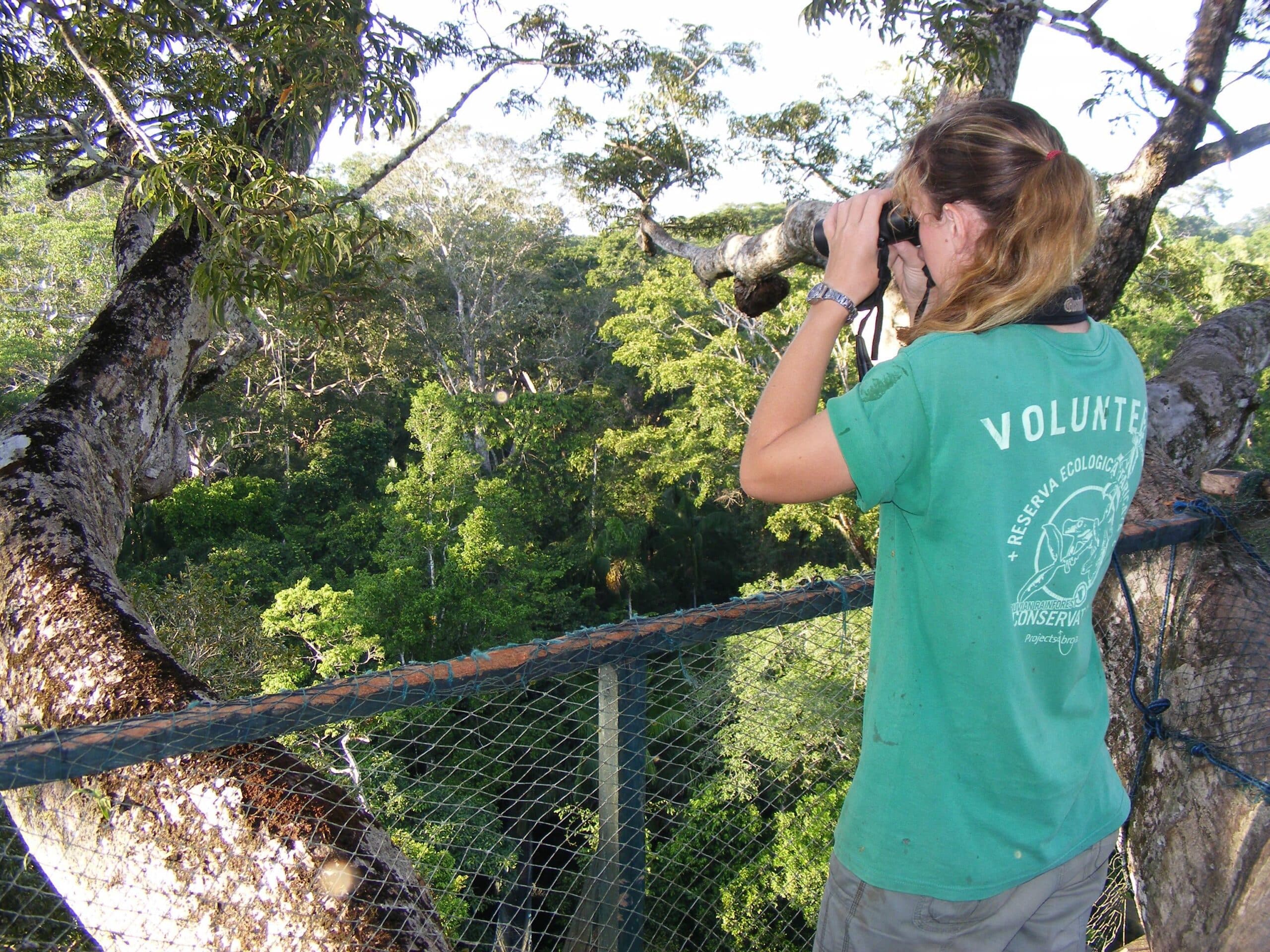 A Conservation volunteer searching for birds at the top of a canopy platform in Peru