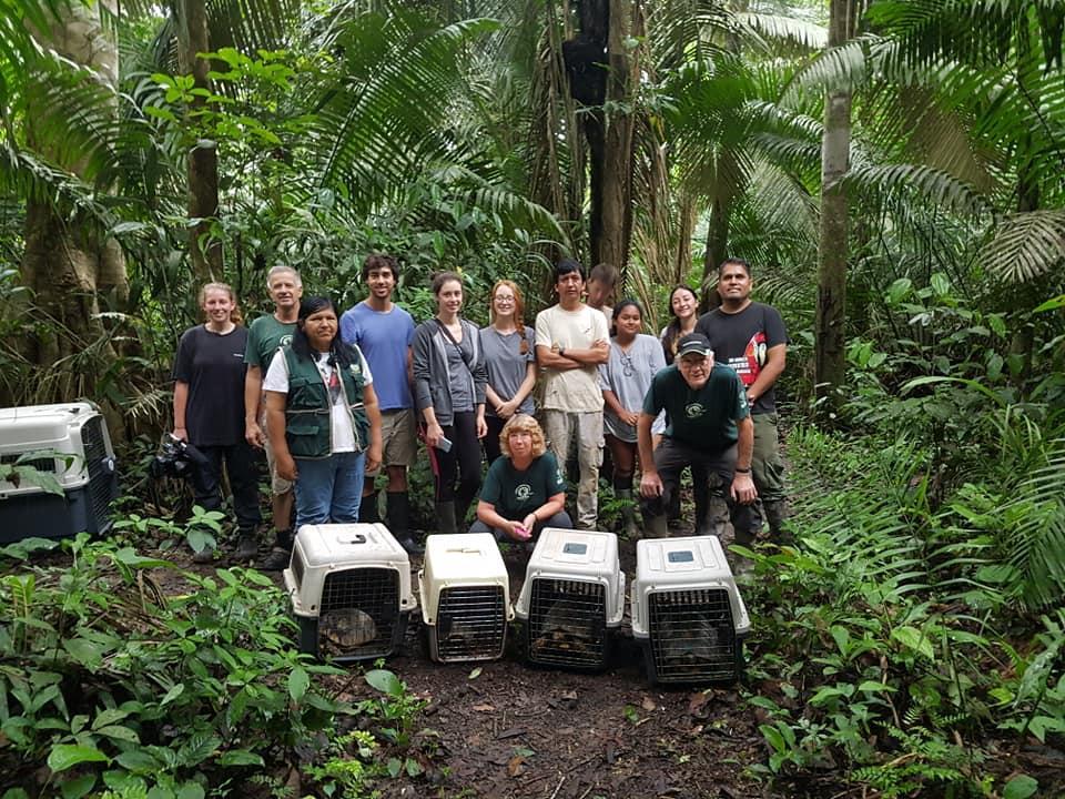 Projects Abroad volunteers stand behind kennels of tortoises that are going to be released into the wild
