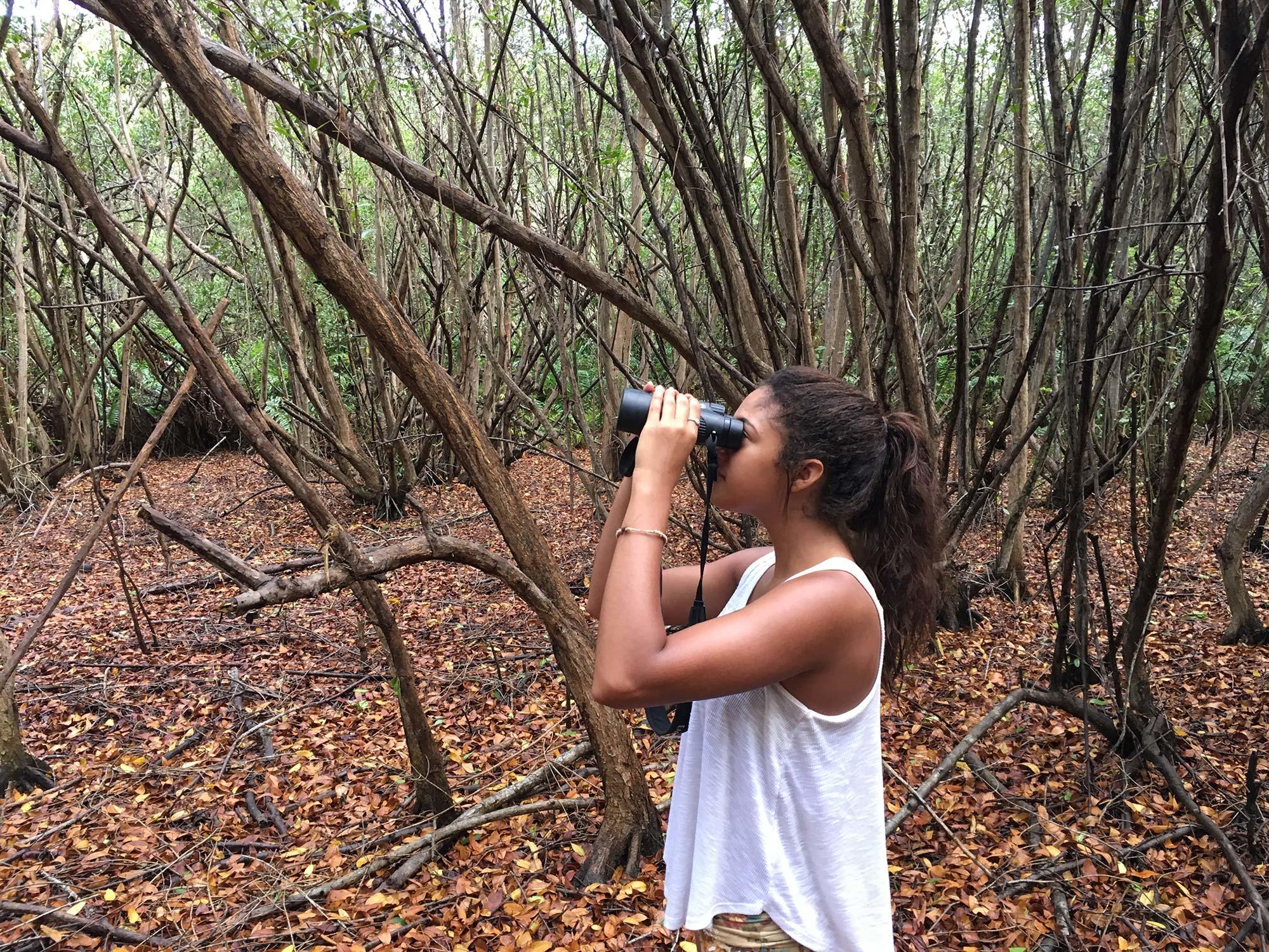 A Projects Abroad Conservation volunteer in Mexico looking through binoculars during a bird survey.