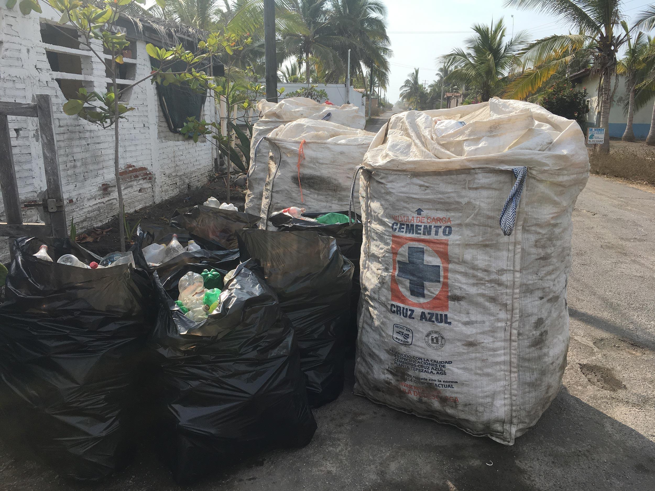 Plastic bottles collected by Projects Abroad Conservation volunteers in Mexico.