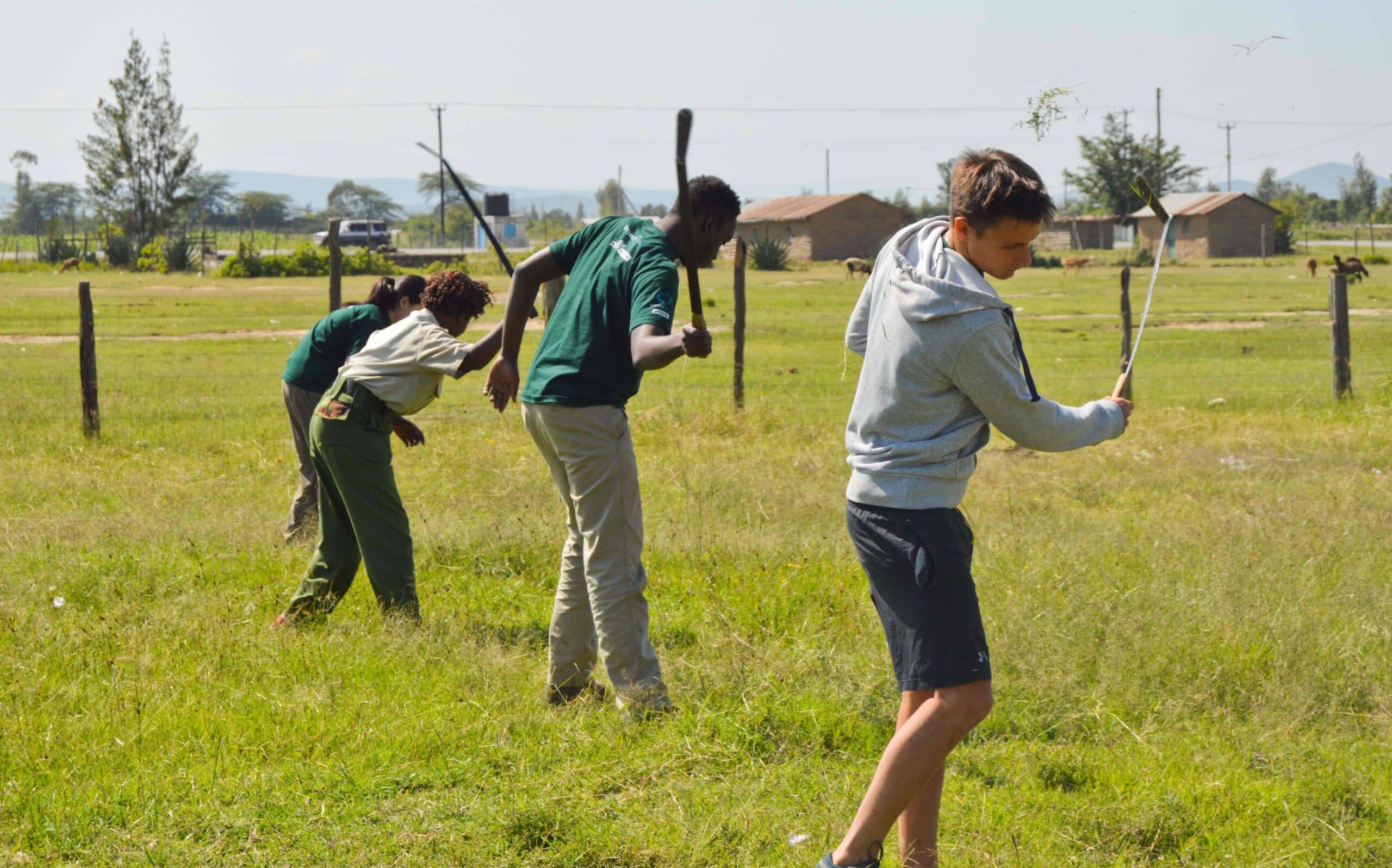 Projects Abroad conservation volunteers help remove invasive plant species in Kenya during their Giraffe and Lion conservation project.