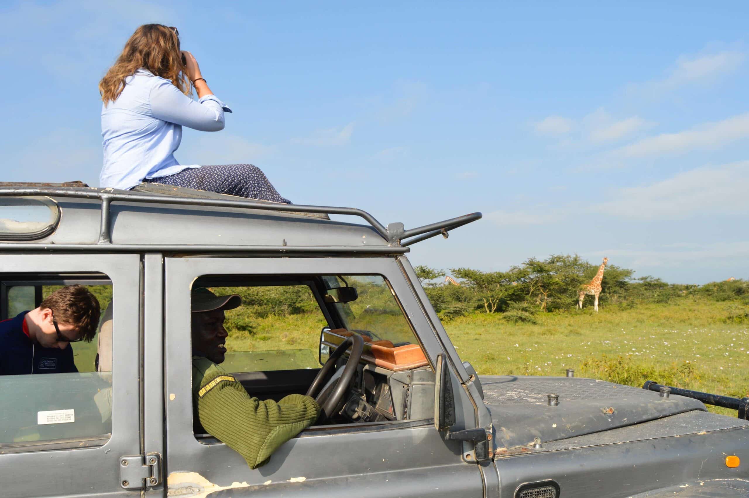 Projects Abroad conservation volunteers in Kenya observe Giraffes during their Giraffe and Lion Conservation project.
