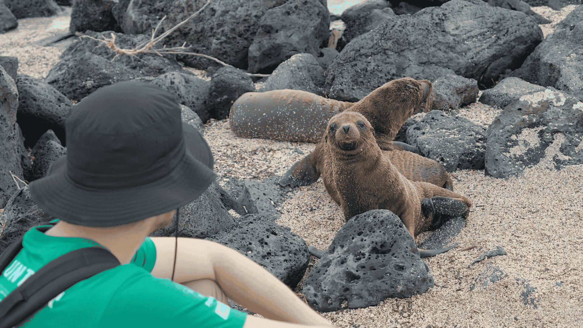 Beyond the bucket list: the personal growth behind international volunteering