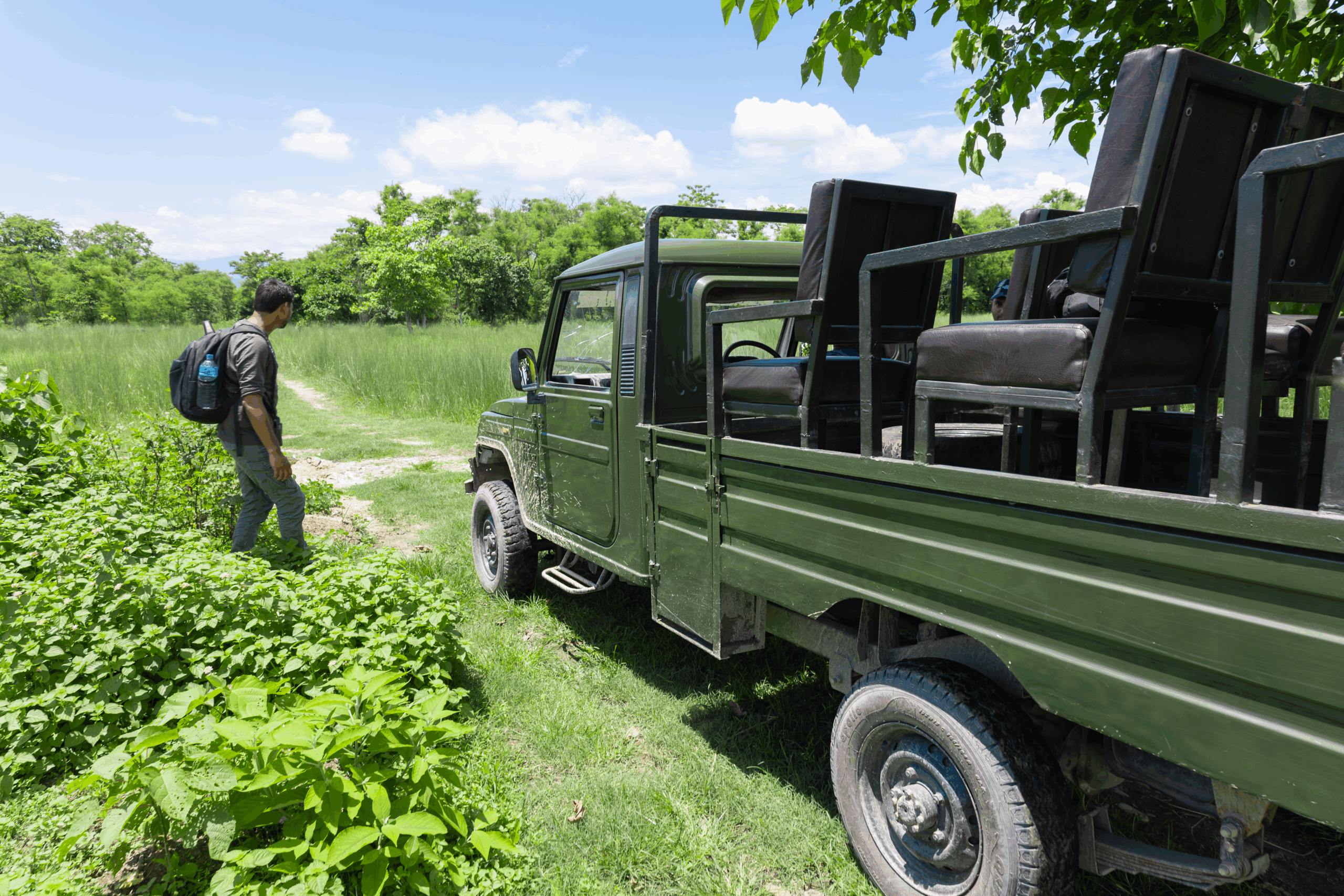 Explore the community forest to 