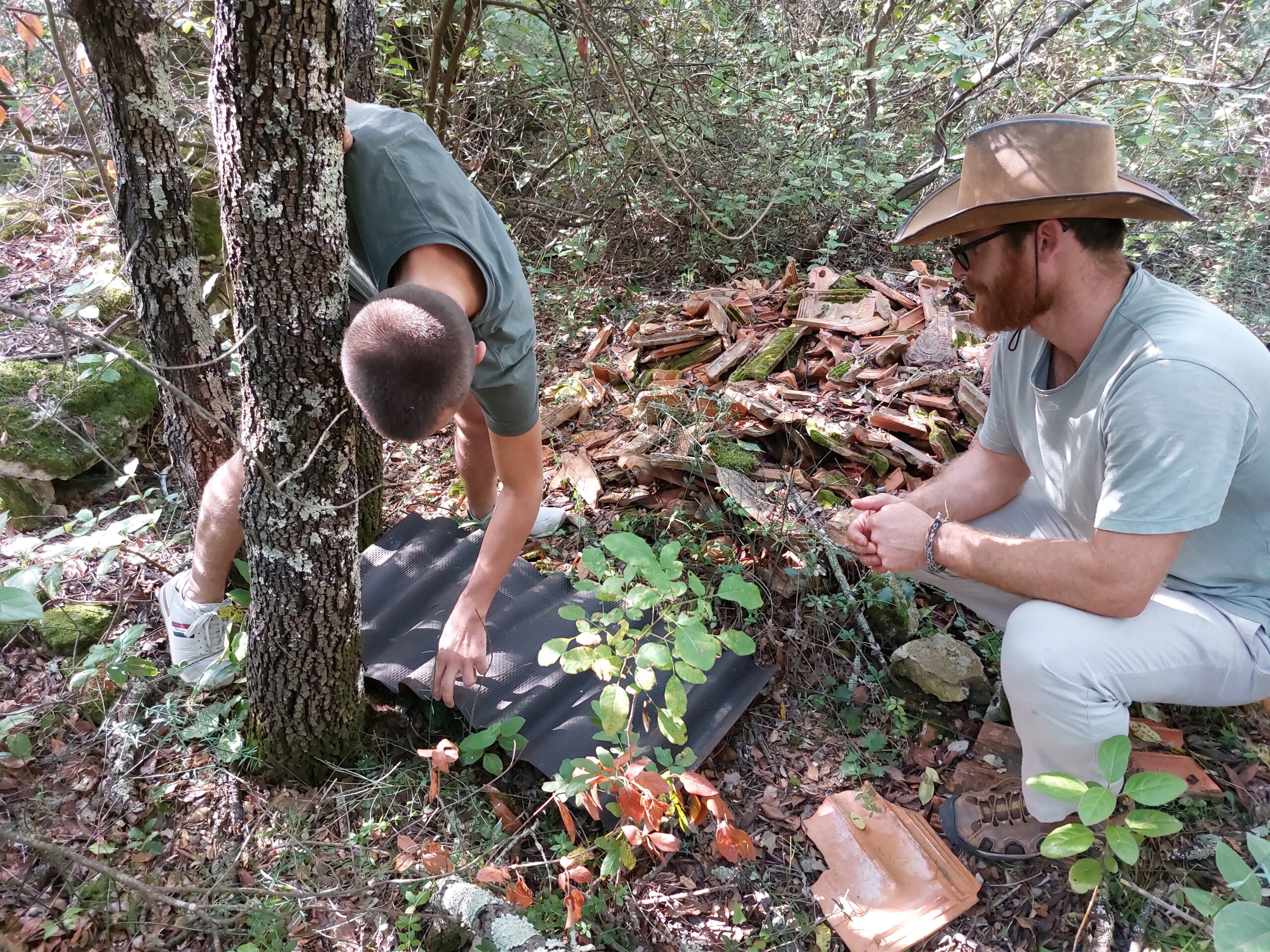 Place reptile refugia and discover new species 