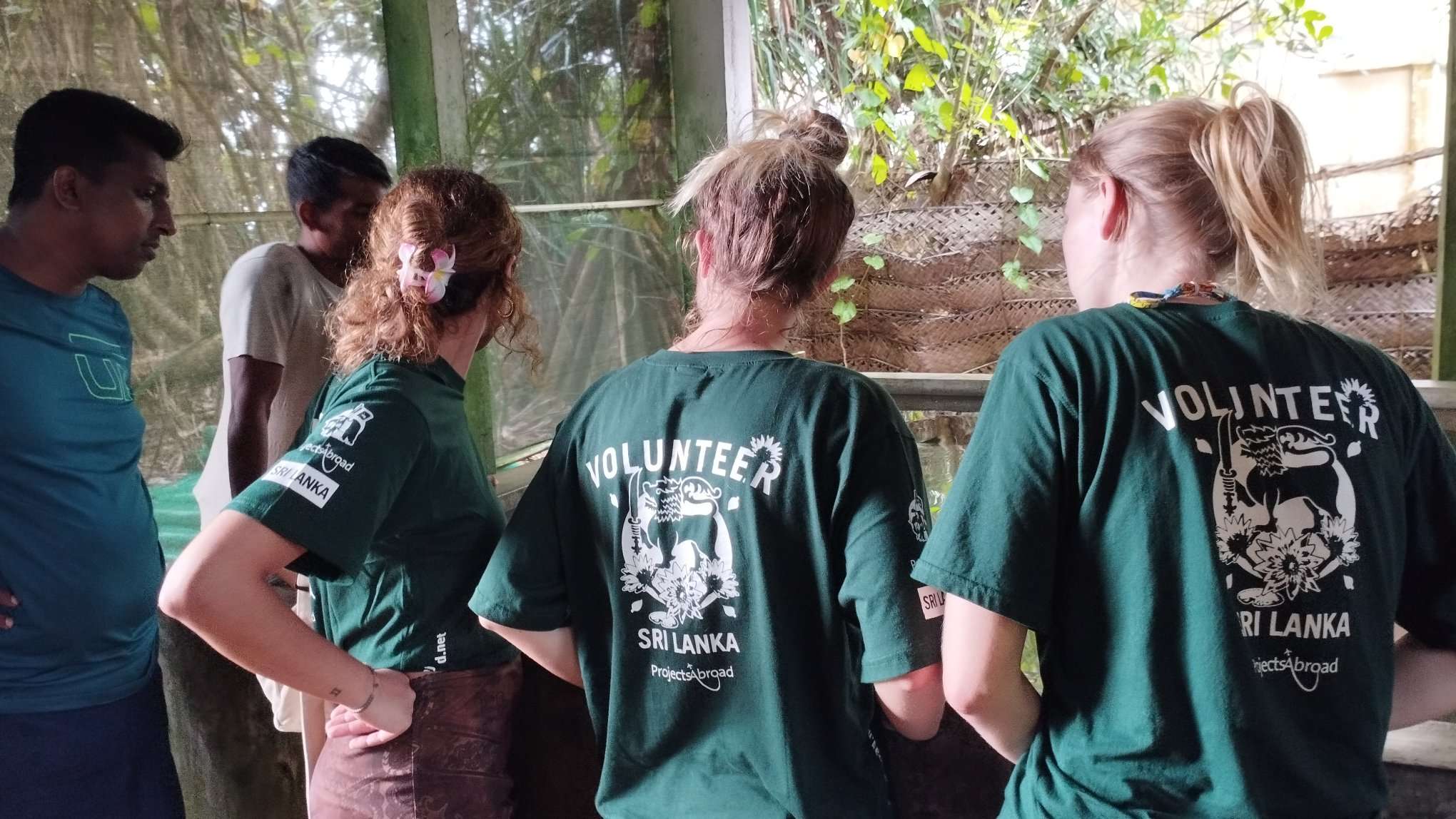 Maintain the sea turtle tanks at the rehabilitation centre